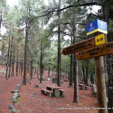 לאס פאלמס דה גראן קנאריה Canarias. Islas Afortunadas מראה חיצוני תמונה